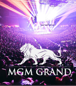 MGM Grand Arena Las Vegas